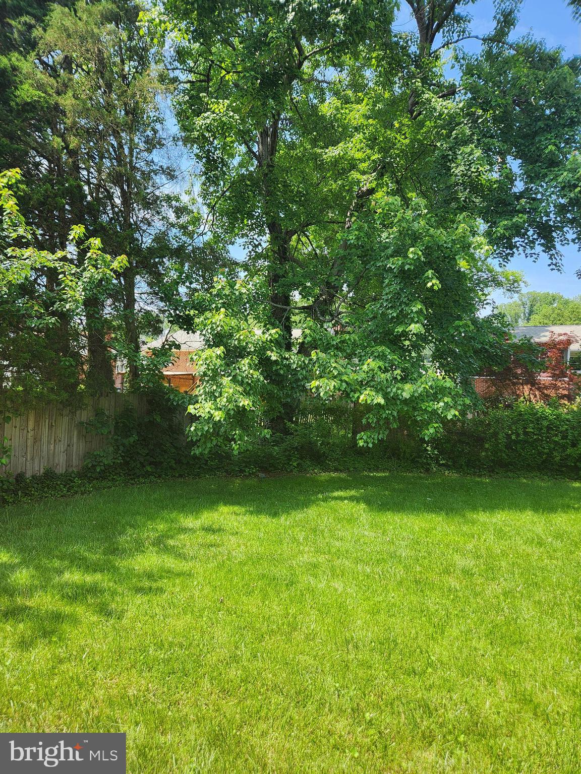 7510 Hogarth Street Springfield, VA 22151 - Photo 20 of 47 private back yard..mature trees🎄