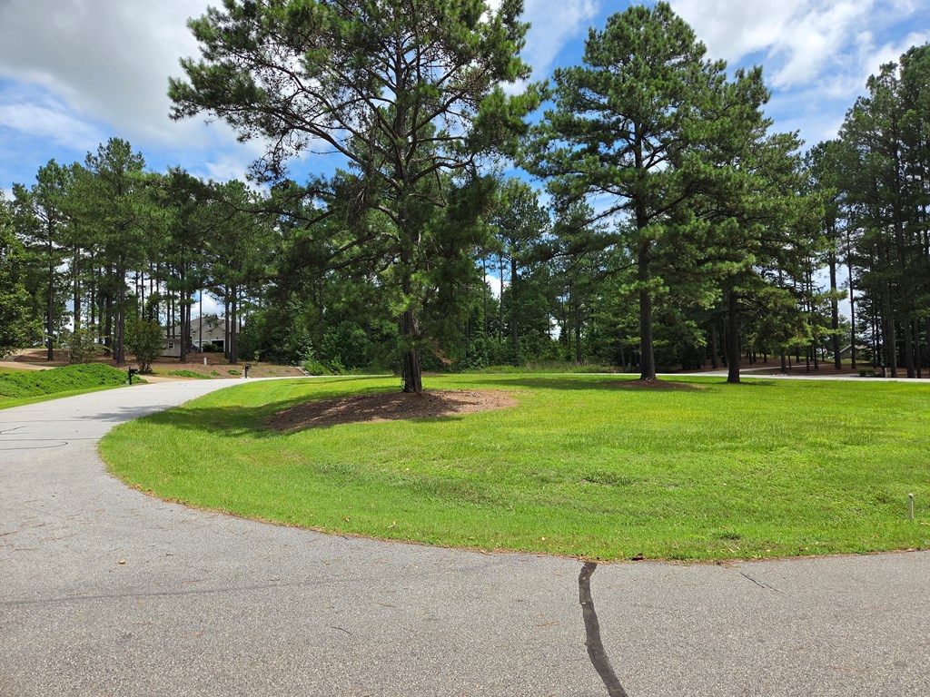 110 Long Point Road Hodges, SC 29653 - Photo 3 of 11