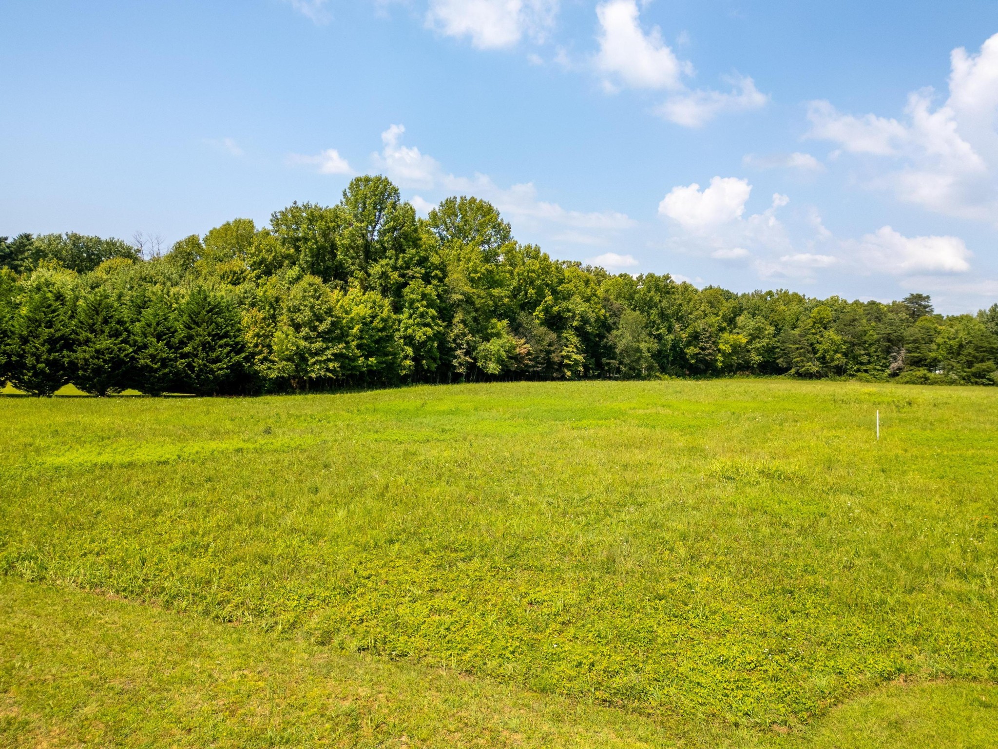 9915 Lewis Road Soddy-Daisy, TN 37379 - Photo 9 of 12 Gallery Image 9