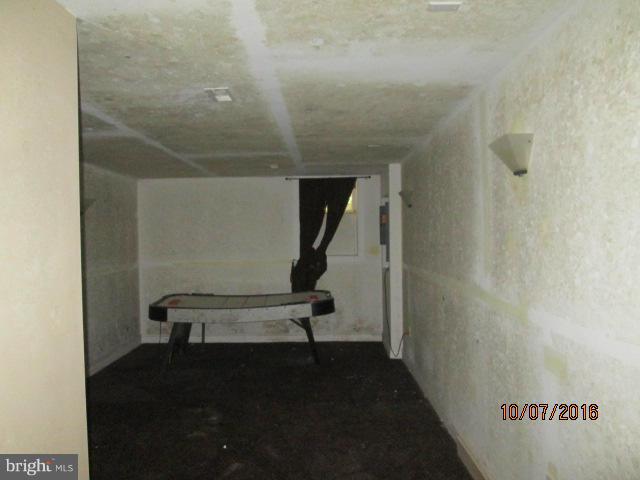 11778 Thomas Spring Road Monrovia, MD 21770 - Photo 18 of 19 Basement