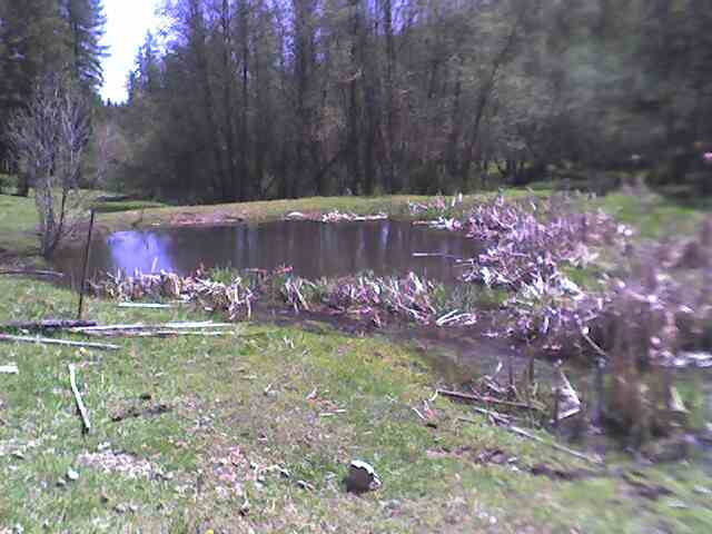 2275 Addy-cedonia Road Addy, WA 99101 - Photo 5 of 9