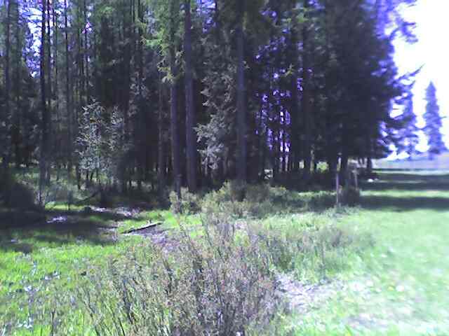 2275 Addy-cedonia Road Addy, WA 99101 - Photo 9 of 9