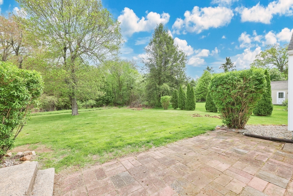 20 Mountainbrook Road Wilbraham, MA 01095 - Photo 4 of 34 a view of a yard with plants and large trees