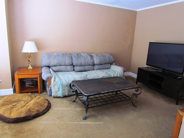6952 West Foster Avenue Chicago, IL 60656 - Photo 9 of 14 a living room with furniture and a fireplace