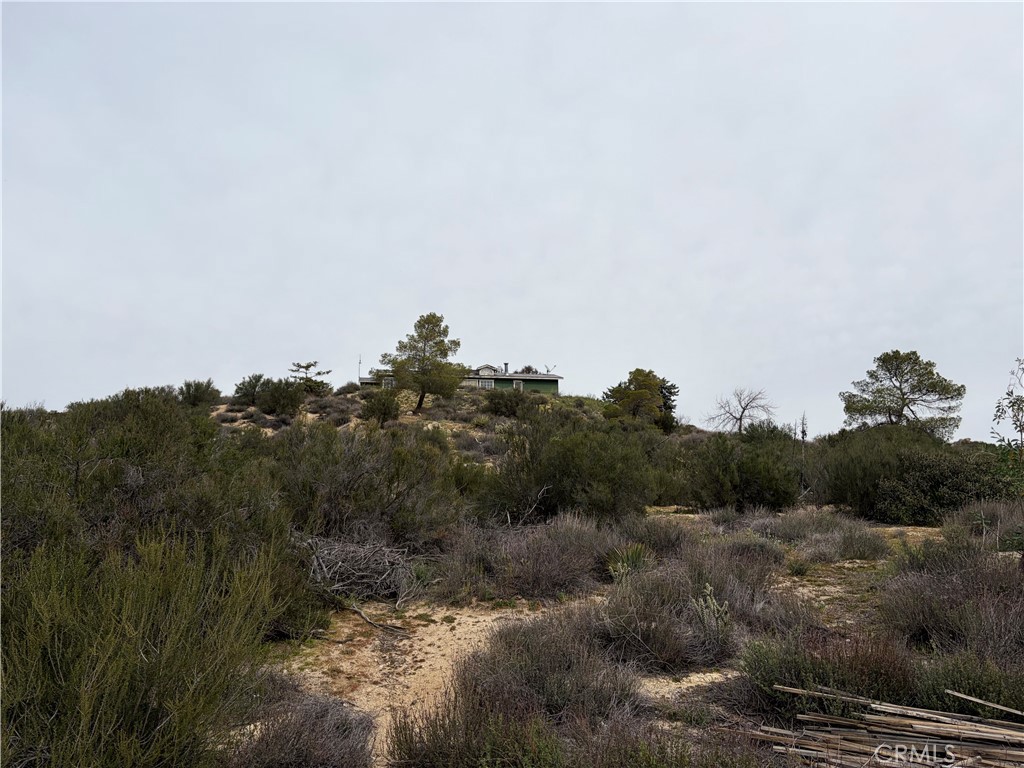 61200 Indian Paint Brush Road Anza, CA 92539 - Photo 50 of 73