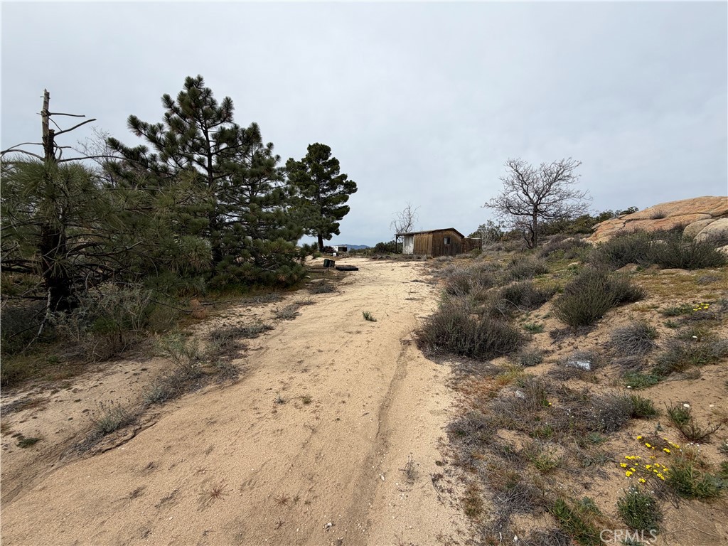 61200 Indian Paint Brush Road Anza, CA 92539 - Photo 55 of 73