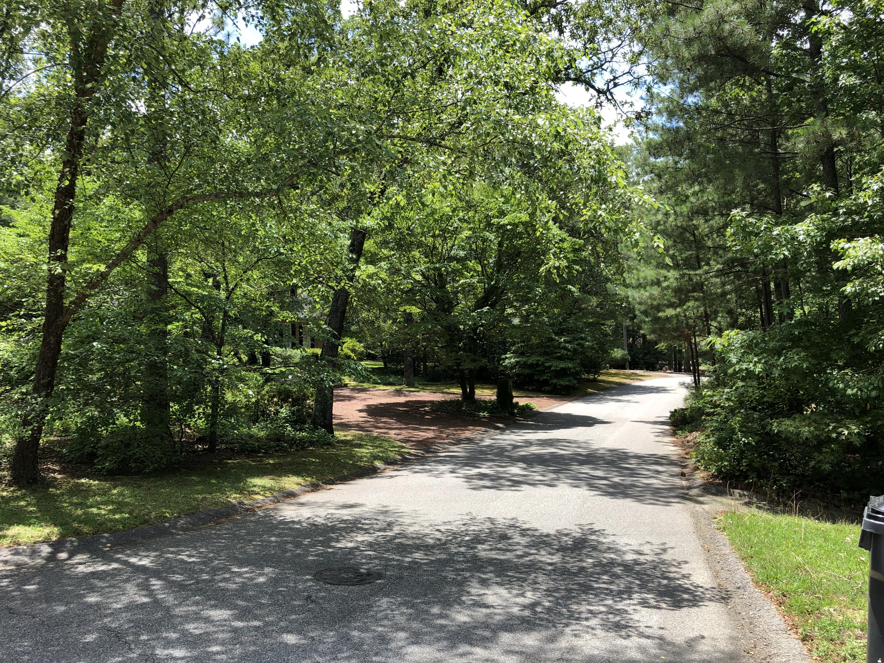 250 Mitchell Road Southern Pines, NC 28387 - Photo 2 of 22 street
