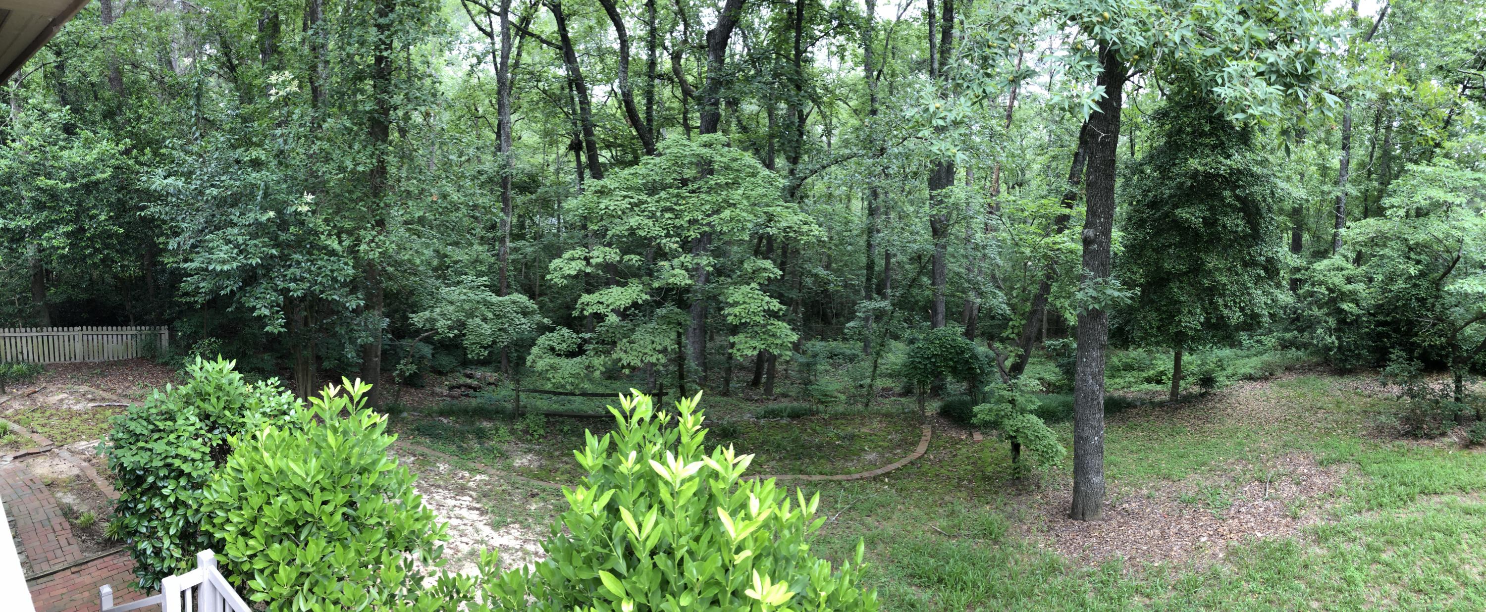 250 Mitchell Road Southern Pines, NC 28387 - Photo 5 of 22 backyard