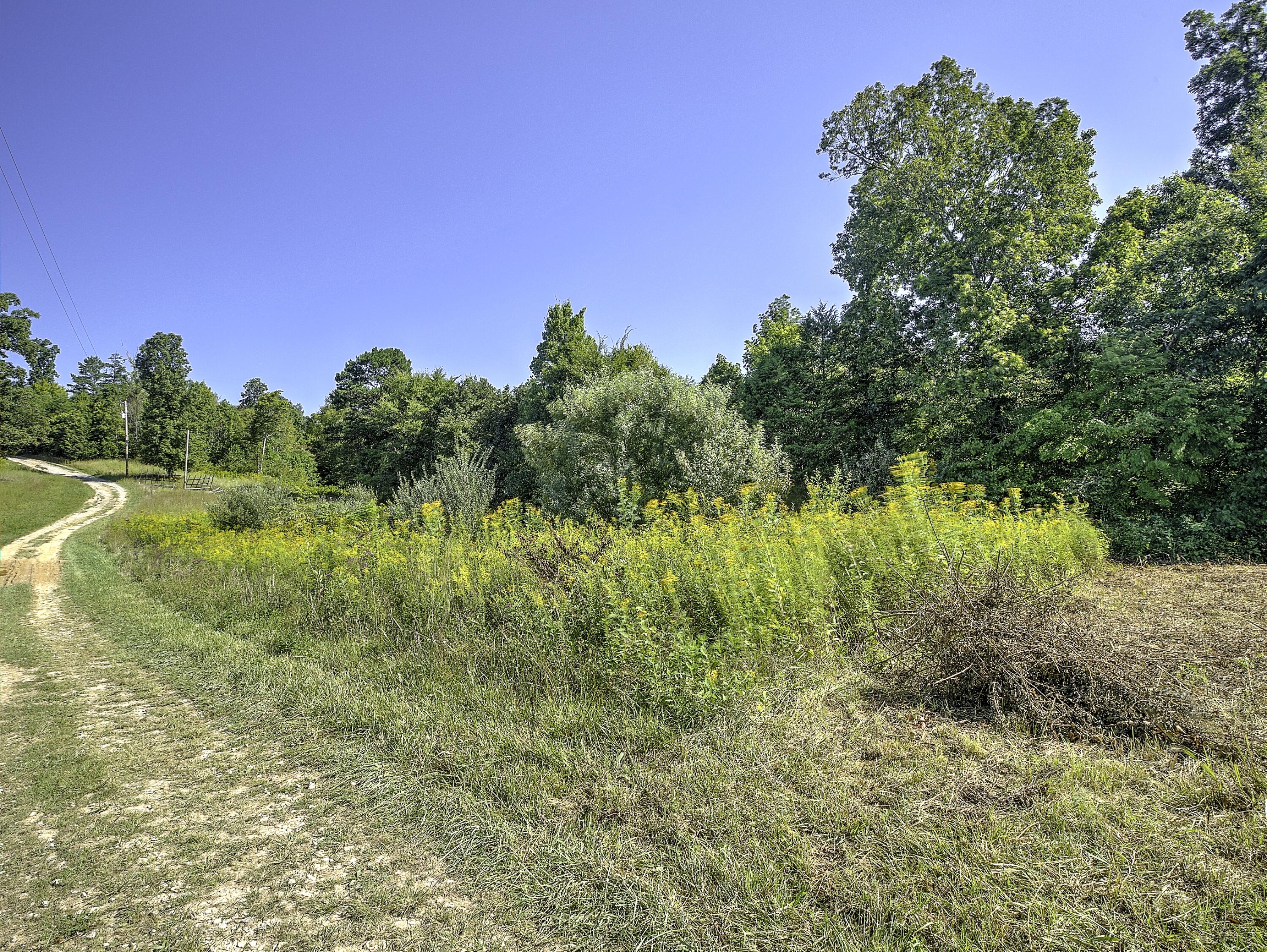 1257 Sears Road Somerset, KY 42501 - Photo 25 of 26 IMG_6367