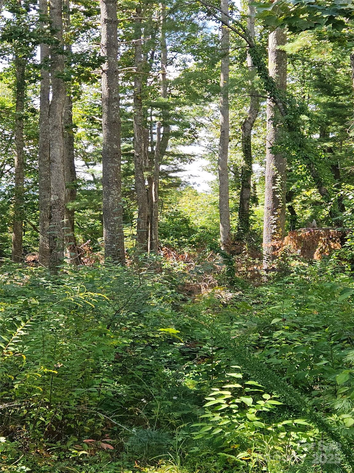 0 Bearwallow Mountain Road, Unit 191 Hendersonville, NC 28792 - Photo 3 of 6 a big yard with lots of green space and trees