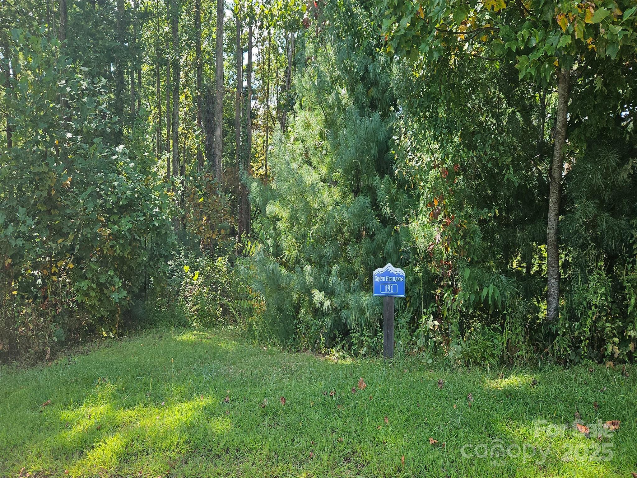 0 Bearwallow Mountain Road, Unit 191 Hendersonville, NC 28792 - Photo 5 of 6 a backyard of a house with a table and chairs
