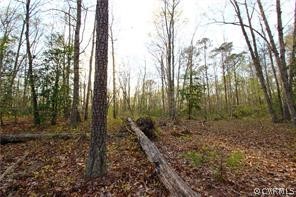 Lot 29 Rockahock Road Lanexa, VA 23089 - Photo 8 of 9 Gallery Image 8