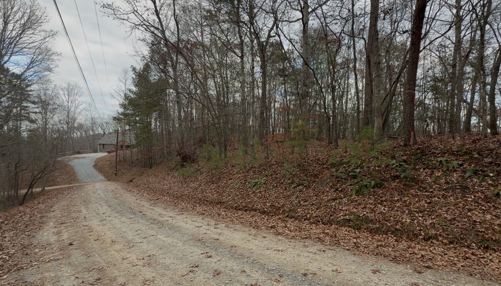454 R Joliet Ellijay, GA 30540 - Photo 7 of 12 Gallery Image 7