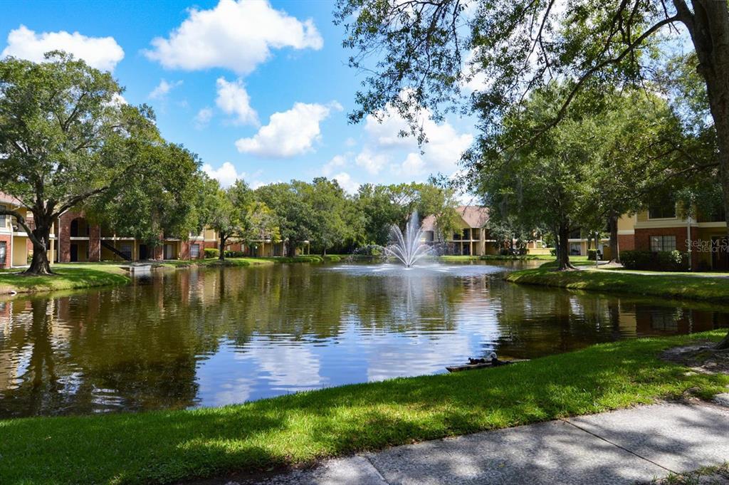 8641 Fancy Finch Drive, Unit 103 Tampa, FL 33614 - Photo 44 of 92 a view of a lake with a house in the background