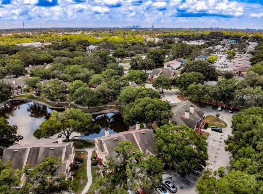 8641 Fancy Finch Drive, Unit 103 Tampa, FL 33614 - Photo 47 of 92