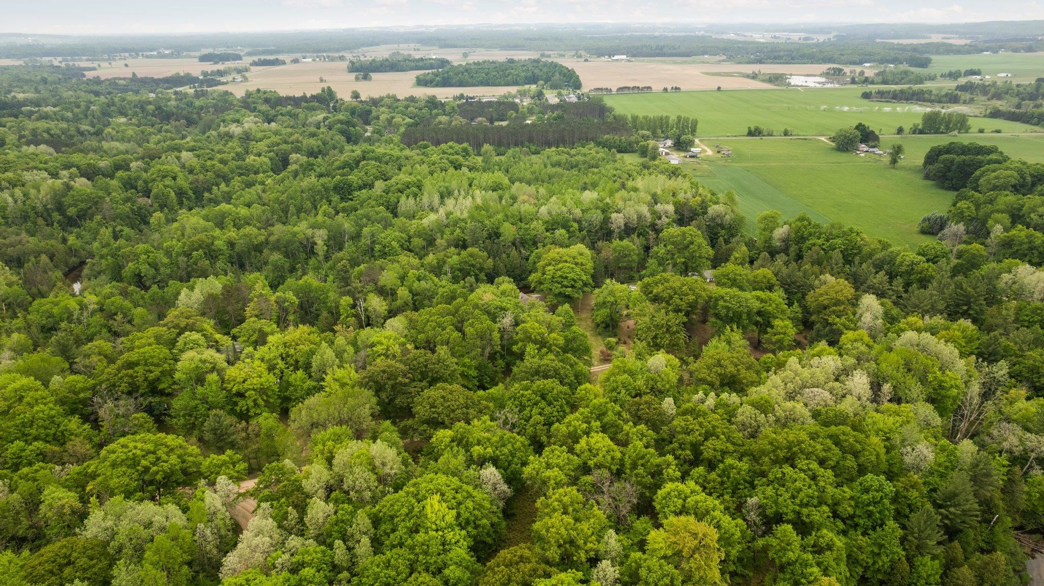 8415 West Workman Road Lake City, MI 49651 - Photo 79 of 83