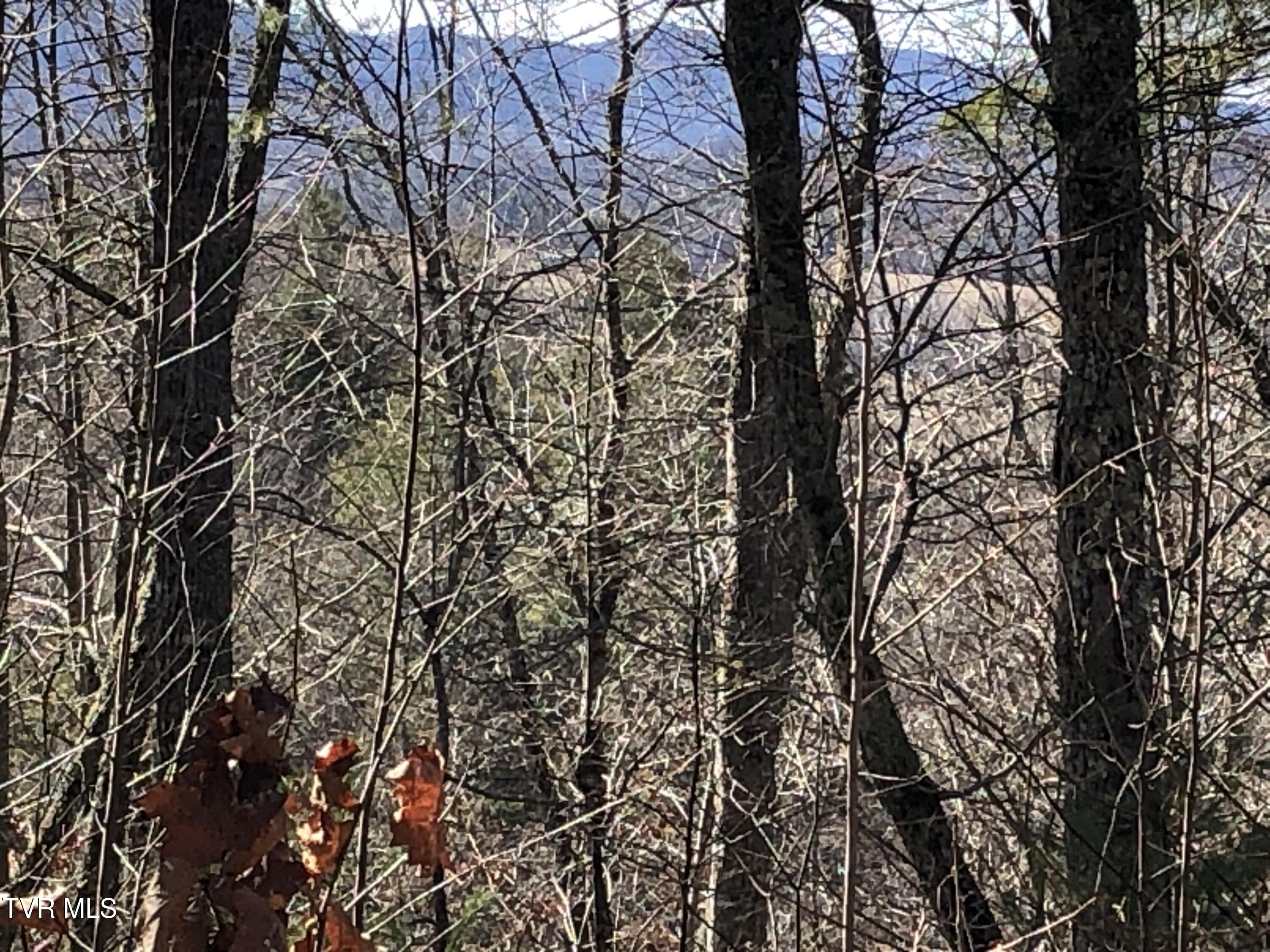 Tbd Rhea Lane, Unit 3 Mountain City, TN 37683 - Photo 17 of 26 IMG_1699