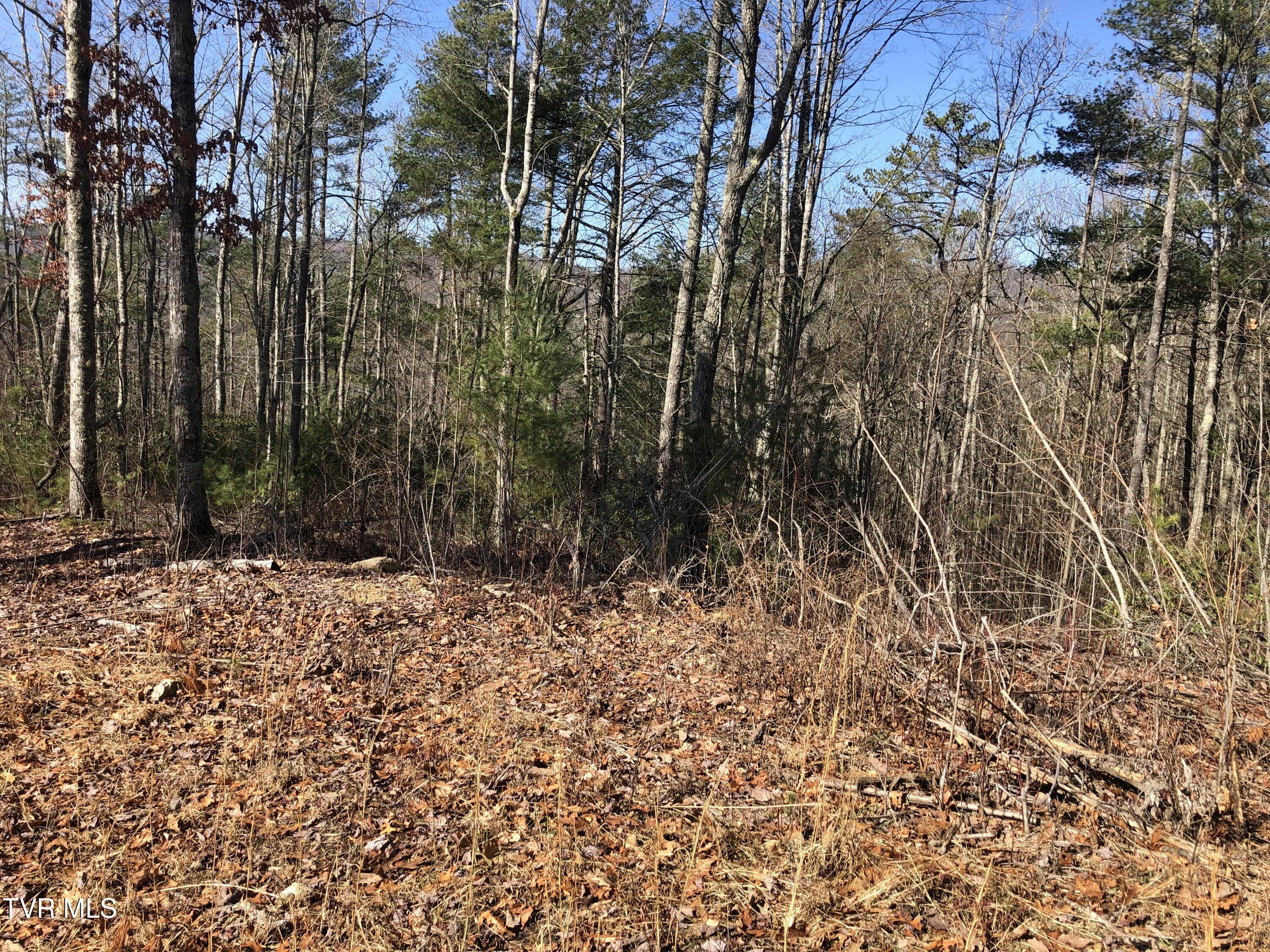 Tbd Rhea Lane, Unit 3 Mountain City, TN 37683 - Photo 22 of 26 IMG_1696
