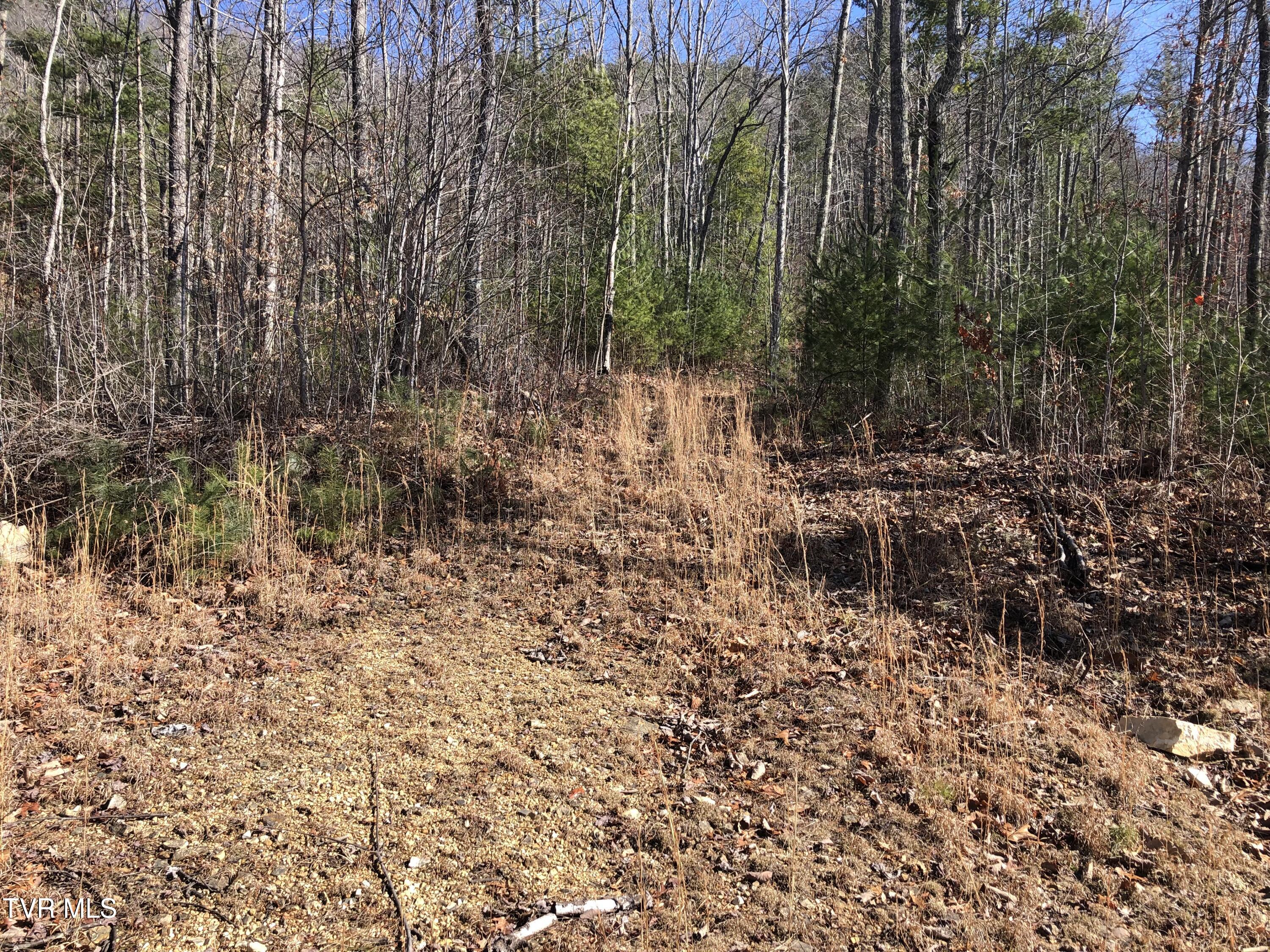 Tbd Rhea Lane, Unit 3 Mountain City, TN 37683 - Photo 26 of 26 IMG_1688