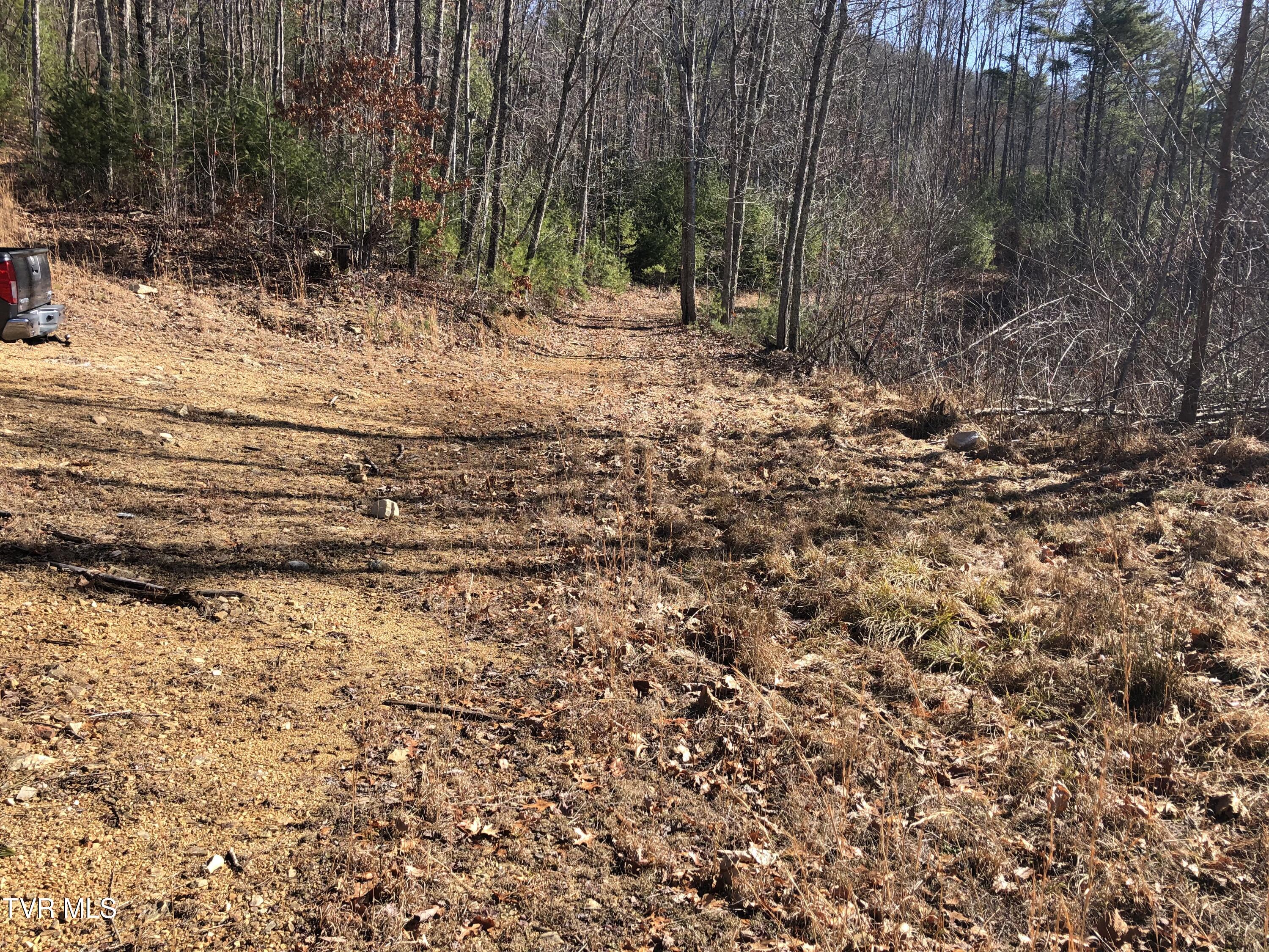 Tbd Rhea Lane, Unit 3 Mountain City, TN 37683 - Photo 5 of 26 IMG_1695
