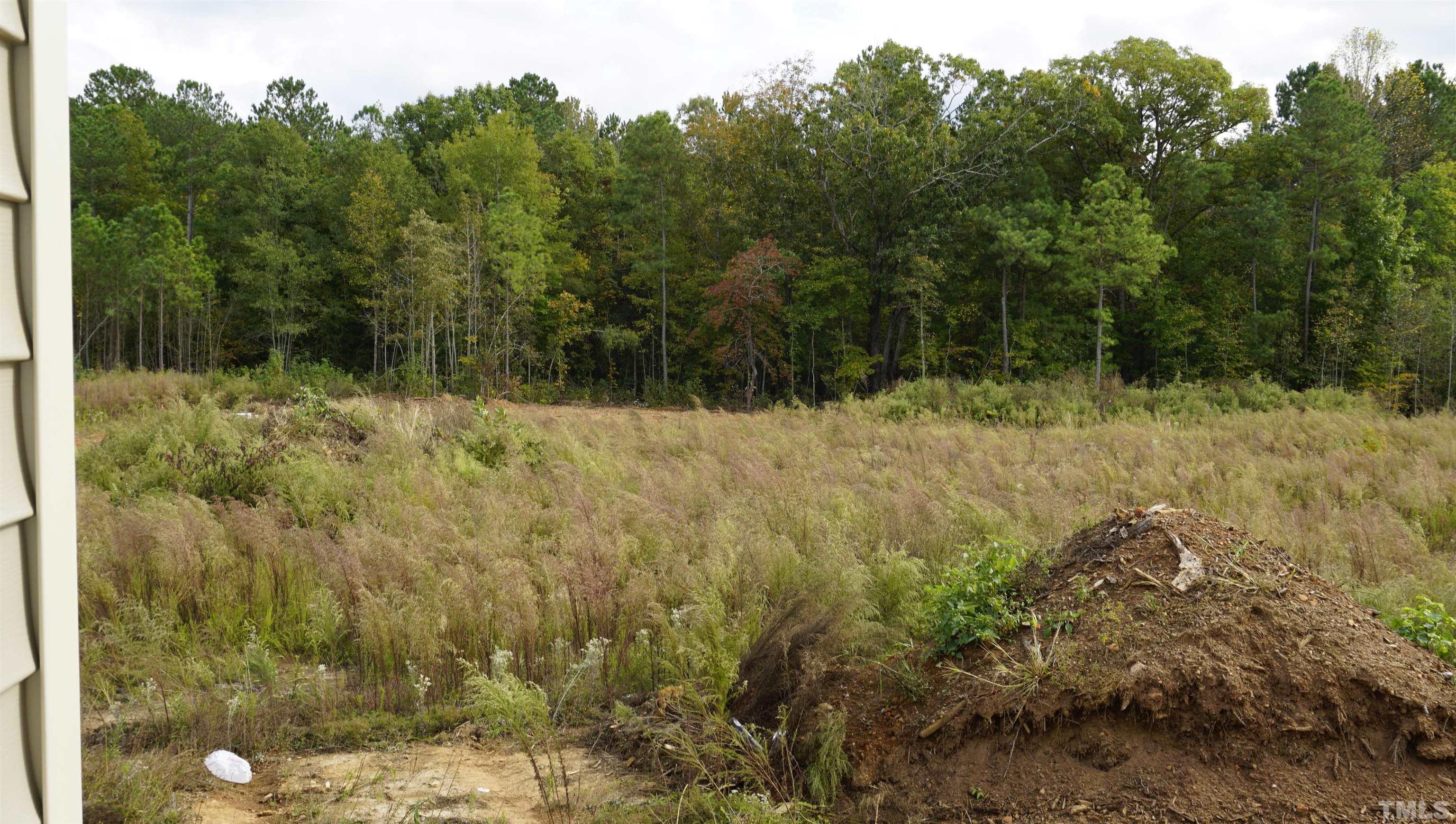 10541 West Old Spring Hope Road Spring Hope, NC 27882 - Photo 7 of 20 a view of a yard