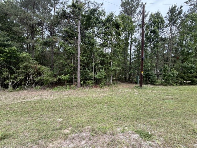 Tbd Texas Grand Road Huntsville, TX 77340 - Photo 5 of 8