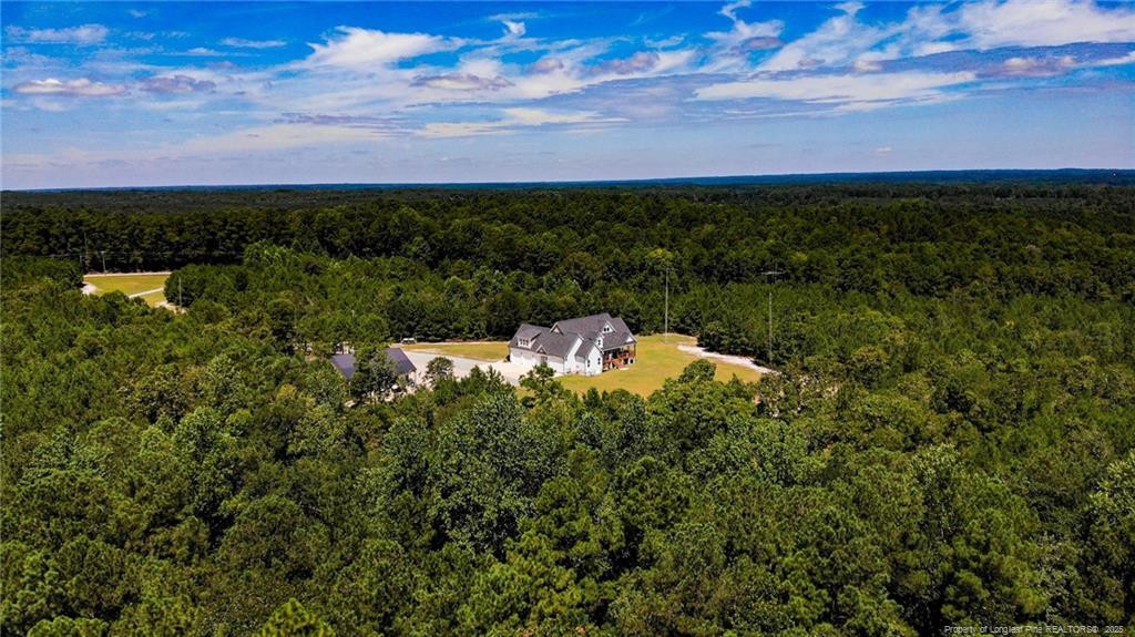 1091 Nursery Road Lillington, NC 27546 - Photo 4 of 50 Photo 4