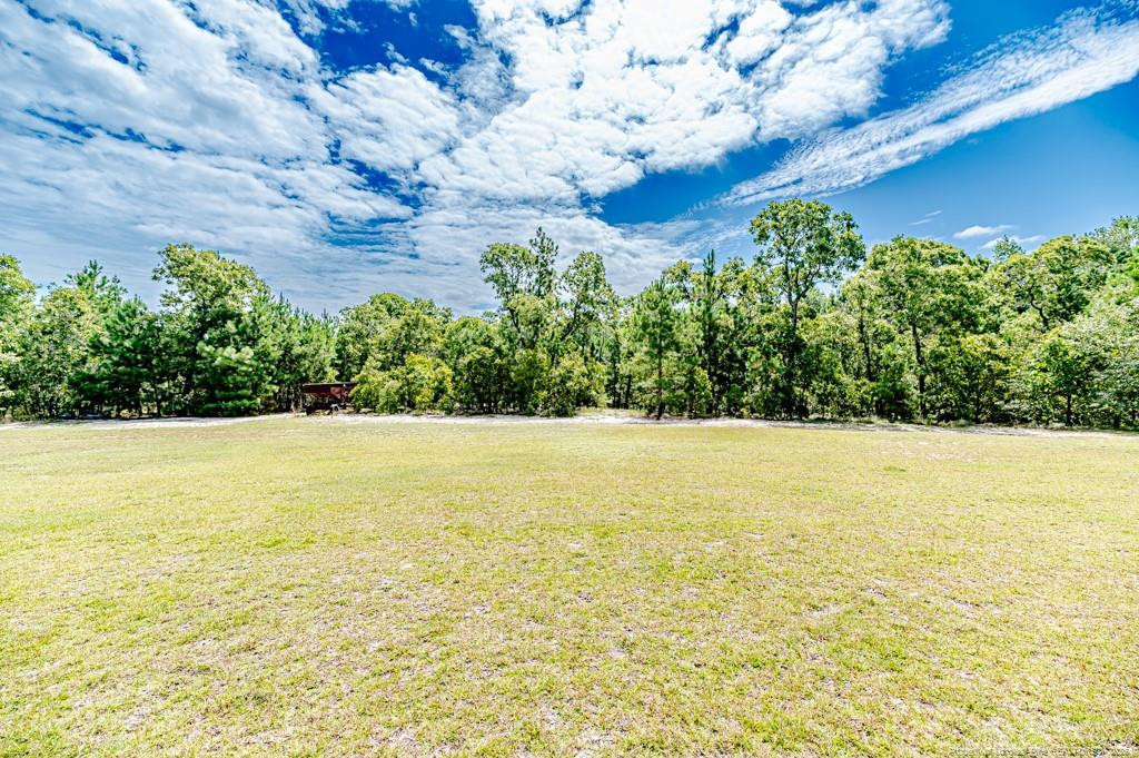 1091 Nursery Road Lillington, NC 27546 - Photo 42 of 50 Photo 42