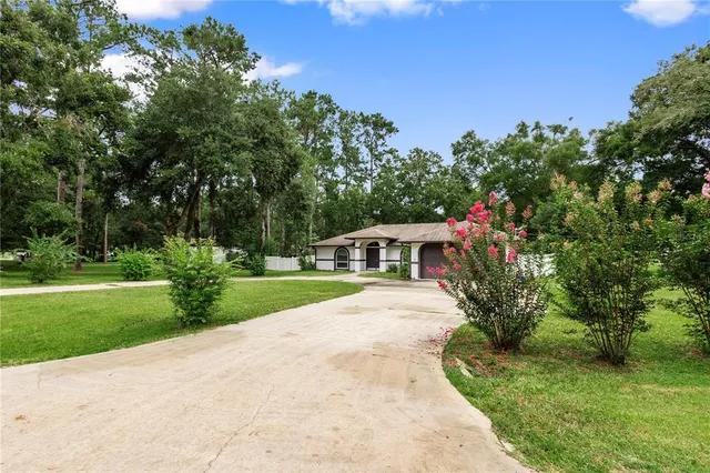 a view of a garden with a bench under an umbrella