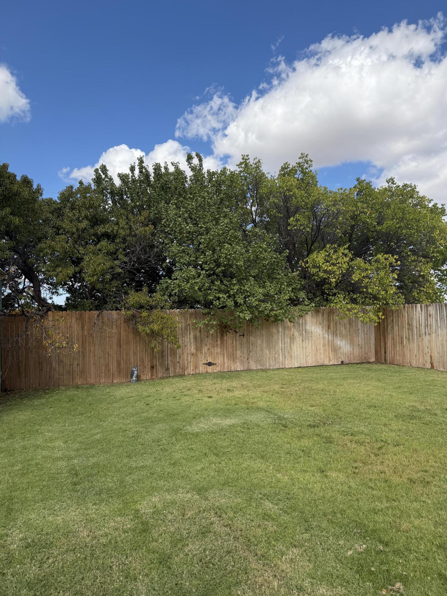 703 540th Loop Logan, NM 88426 - Photo 38 of 49 Gallery Image 38
