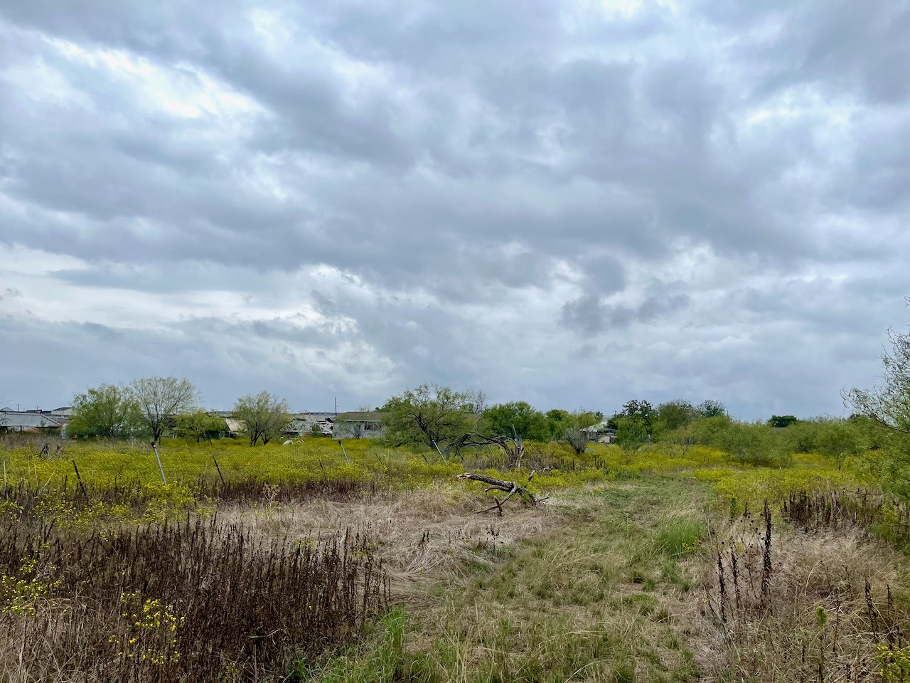 11604 Moore Road Austin, TX 78719 - Photo 3 of 19