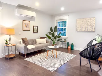 a living room with furniture a wooden floor and a potted plant