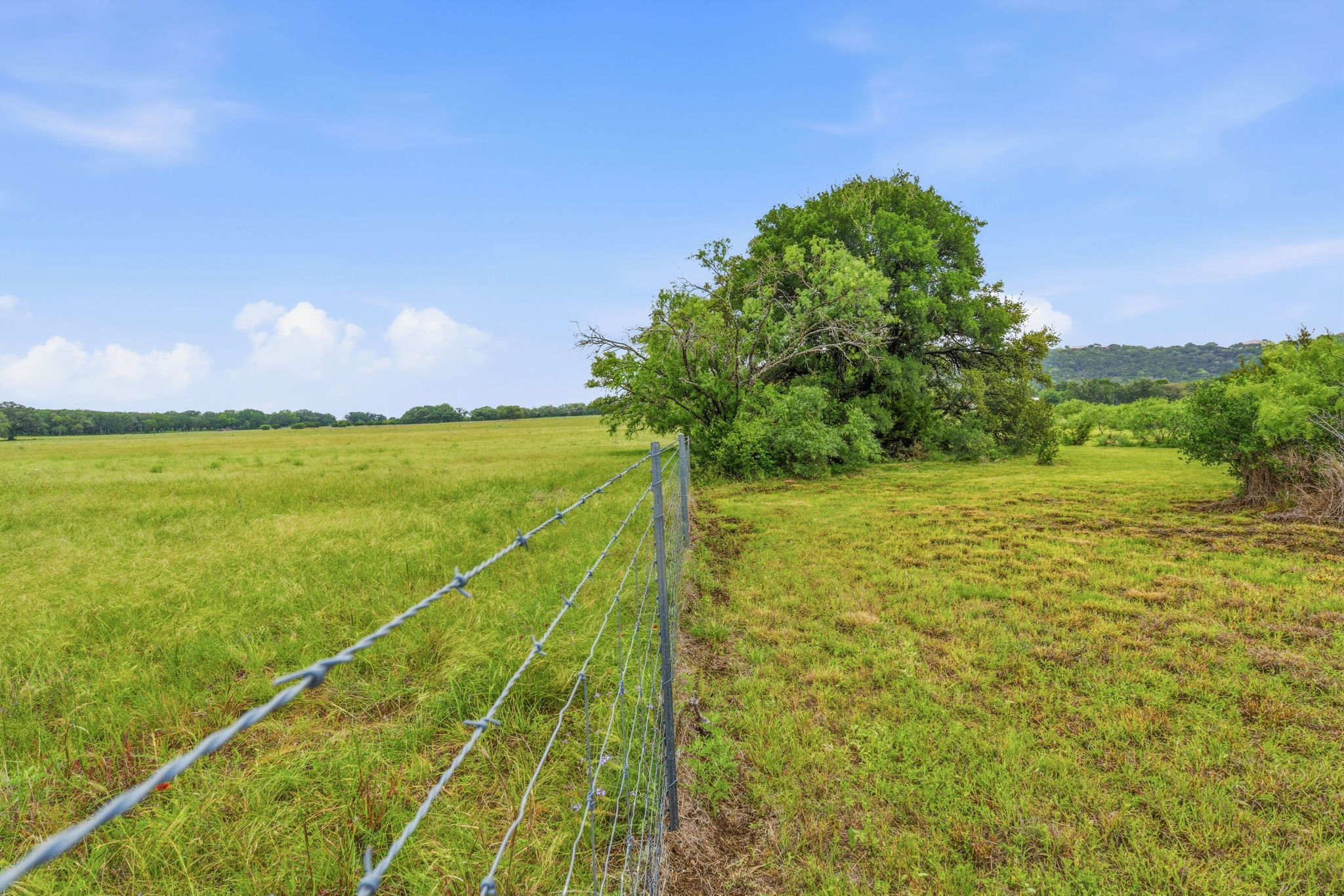 104 Round Up Circle Burnet, TX 78611 - Photo 11 of 23 Expansive green field with a wire fence boundary