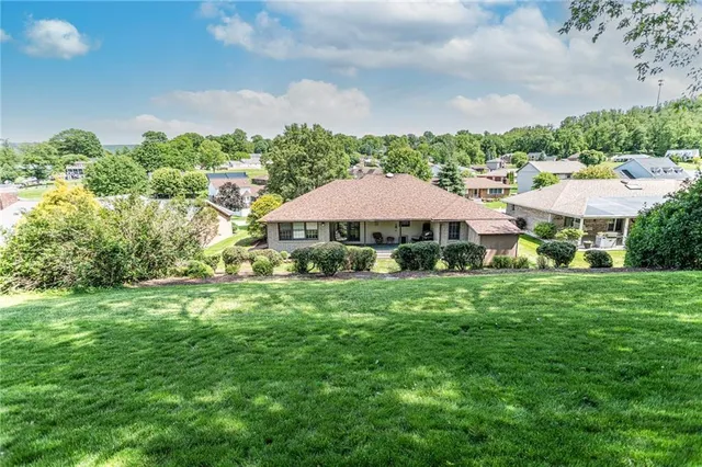a view of a backyard with plants and large trees