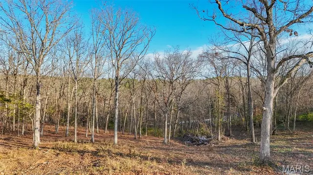 $25,000 | 15316 Hargis Court, Rolla, MO 65401