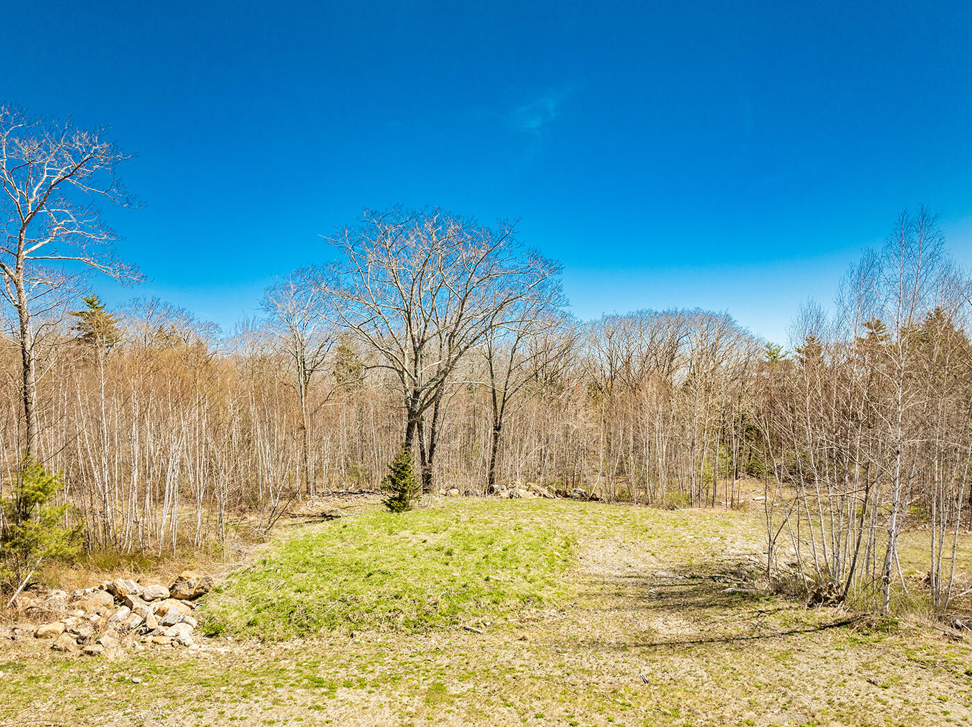 0 Terrier Circle Rockport, ME 04856 - Photo 13 of 15 land