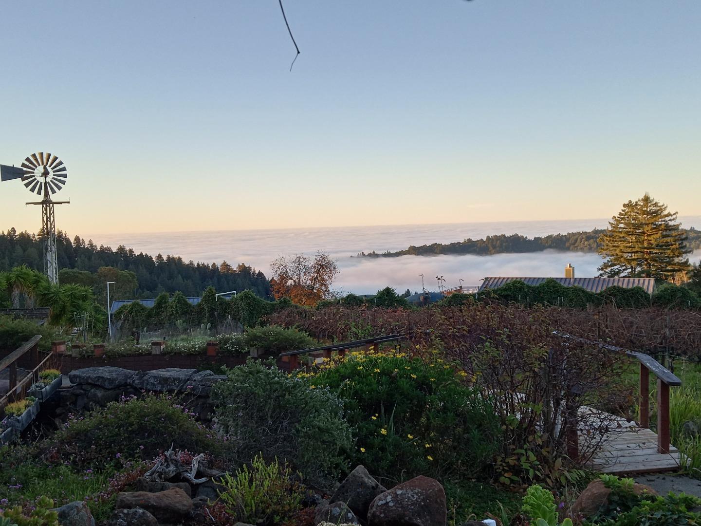 1580 Tindall Ranch Road Watsonville, CA 95076 - Photo 134 of 145 Gallery Image 134