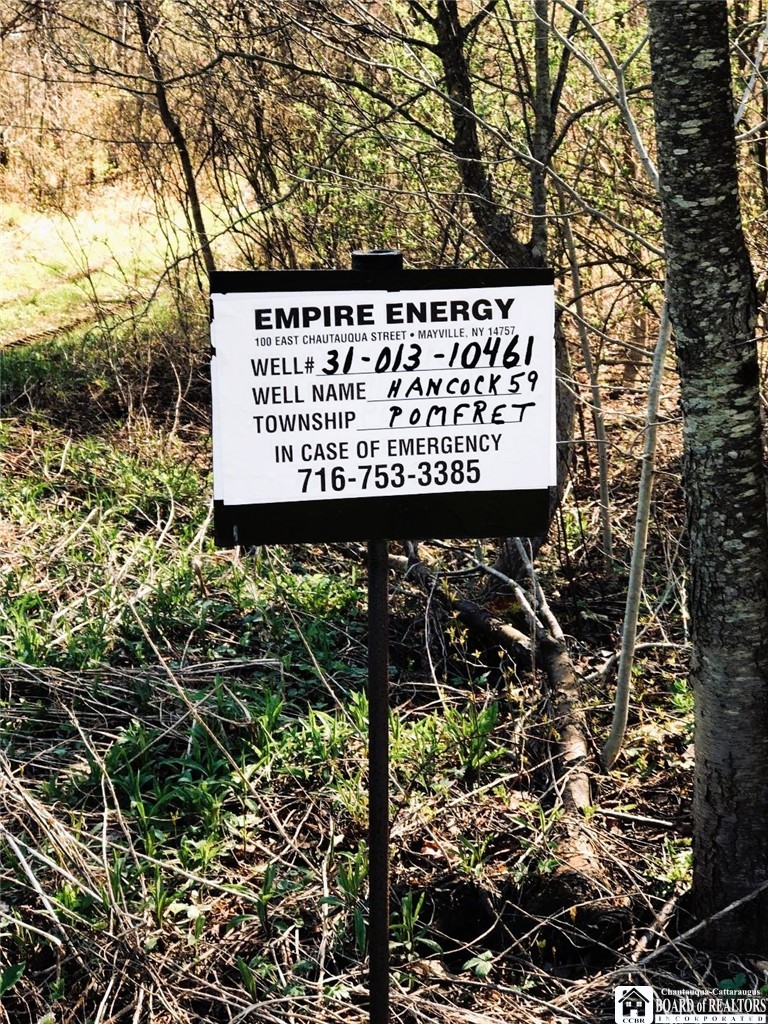 8176 Kelly Hill Road Pomfret, NY 14784 - Photo 11 of 13