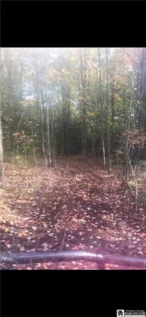$299,000 | 8176 Kelly Hill Road, Pomfret, NY 14784