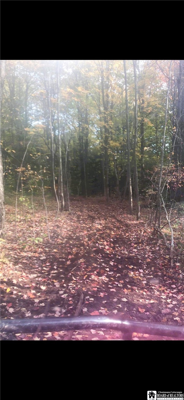 8176 Kelly Hill Road Pomfret, NY 14784 - Photo 12 of 13