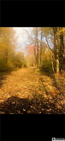 $299,000 | 8176 Kelly Hill Road, Pomfret, NY 14784