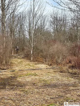 $299,000 | 8176 Kelly Hill Road, Pomfret, NY 14784