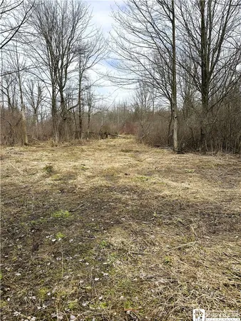 $299,000 | 8176 Kelly Hill Road, Pomfret, NY 14784