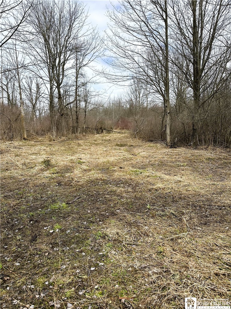 8176 Kelly Hill Road Pomfret, NY 14784 - Photo 5 of 13