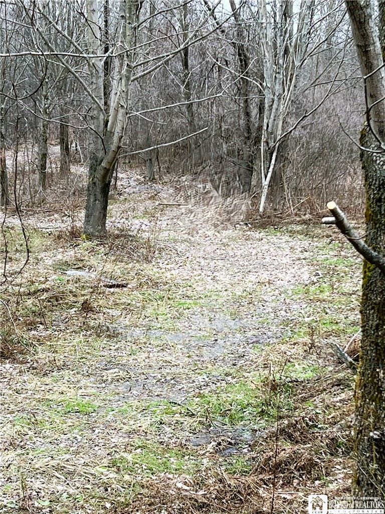 8176 Kelly Hill Road Pomfret, NY 14784 - Photo 6 of 13