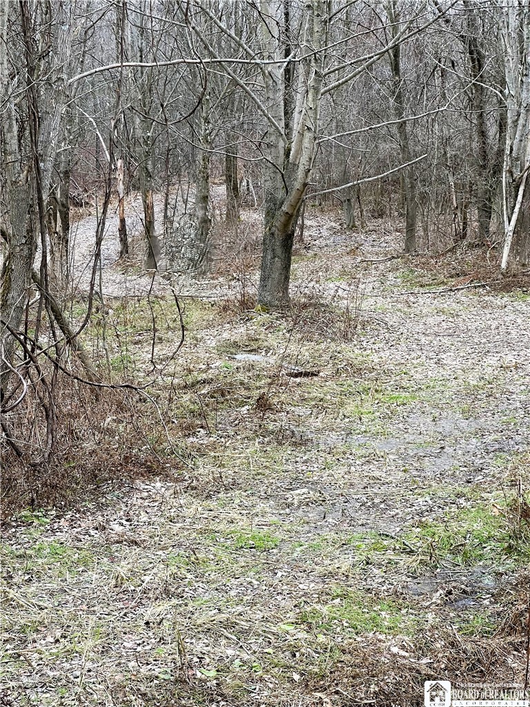 8176 Kelly Hill Road Pomfret, NY 14784 - Photo 7 of 13