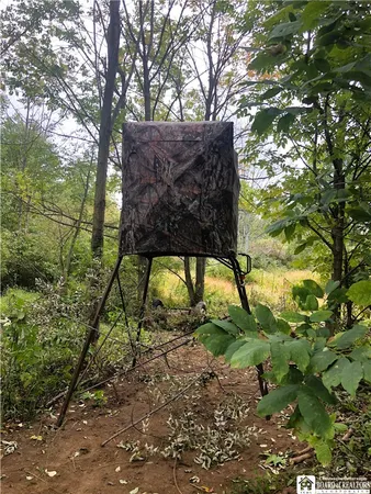 $299,000 | 8176 Kelly Hill Road, Pomfret, NY 14784