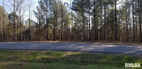 $20,500 | Lot 41 Luxor Lndg Lane, Goreville, IL 62939