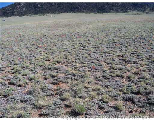 5685 Boulder Road Hartsel, CO 80449 - Photo 1 of 9