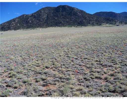 5685 Boulder Road Hartsel, CO 80449 - Photo 2 of 9